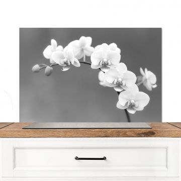 Spatscherm Aluminium - Monochrome Orchideeënpracht