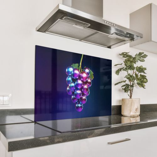 Spatscherm Aluminium - Paars - Disco - Feest - Druif