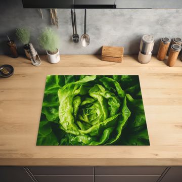 Inductie beschermer - Groente - Sla - Groen