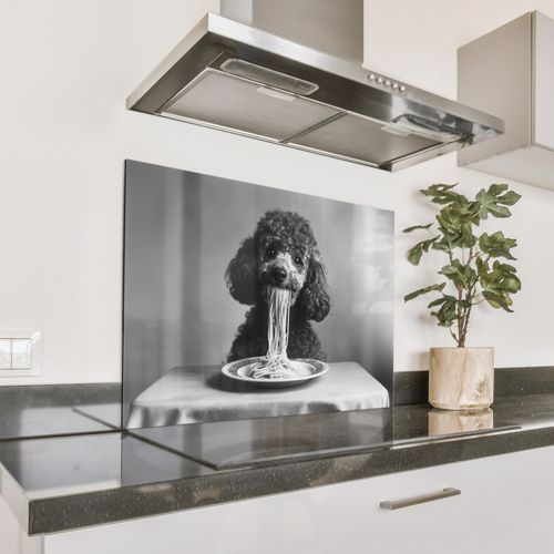 Spatscherm Aluminium - Poedel - Hond - Zwart - Wit - Schattig - Pasta