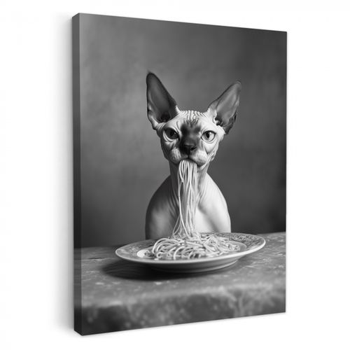 Canvas schilderij - Sphynx - Kat - Dieren - Humor - Spaghetti - Zwart Wit