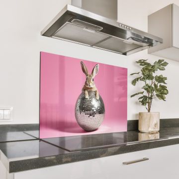 Spatscherm Aluminium - Haas - Strik -Discobal