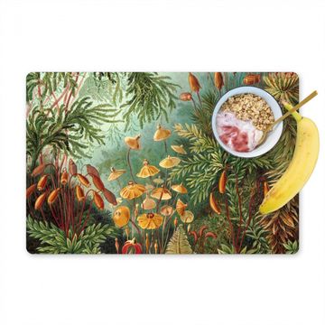 Placemat vinyl - De Muscinae