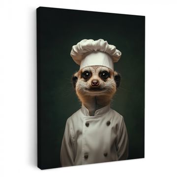 Dier - Kok - Stokstaartje