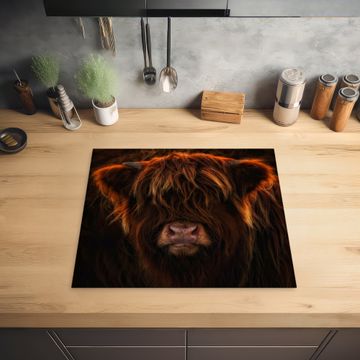 Inductie beschermer - Vurige Manen