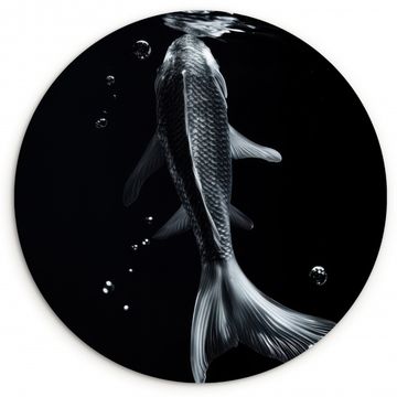 Muurcirkel - Koi - Vissen - Water - Zwart