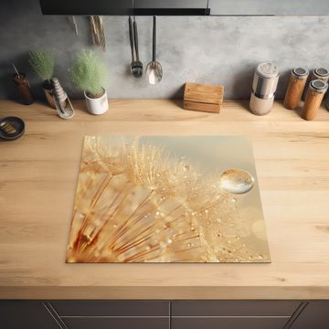 Inductie beschermer - Paardenbloem - Water - Natuur - Planten - Modern