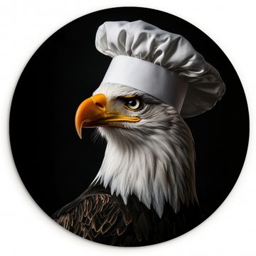 Muurcirkel - Arend -Amerika - Koksmuts - Vogel - Stoer