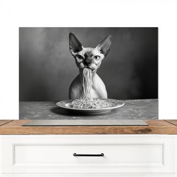 Spatscherm Aluminium - Sphynx - Kat - Dieren - Humor - Spaghetti - Zwart Wit