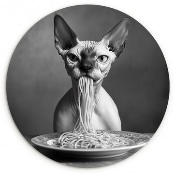 Muurcirkel - Sphynx - Kat - Dieren - Humor - Spaghetti - Zwart Wit