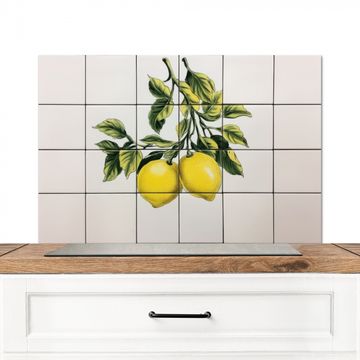 Spatscherm Aluminium - Citroen - Decoratie - Keramiek - Takken