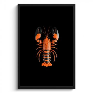Poster met lijst - Kreeft - Oranje - Zwart - Modern