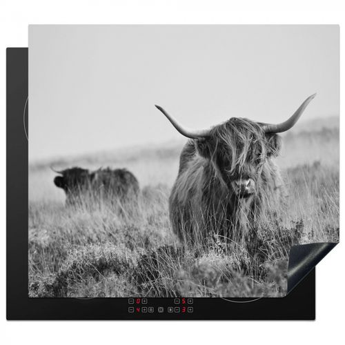 Inductie beschermer - Schotse Hooglander in Monochroom