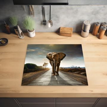 Inductie beschermer - Reiziger bij Zonsopgang
