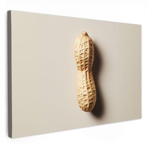 Canvas schilderij - Pinda - Ruw - Beige