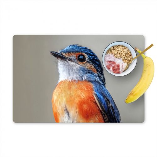 Kleurrijk - Vogeltje - Veren - Blauw
