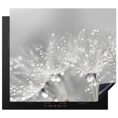 Inductie beschermer - Paardenbloem - Waterdruppels - Stilleven - Modern