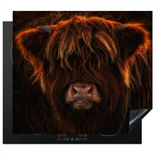 Inductie beschermer - Vurige Manen
