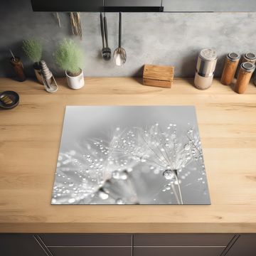 Inductie beschermer - Paardenbloem - Waterdruppels - Stilleven - Modern