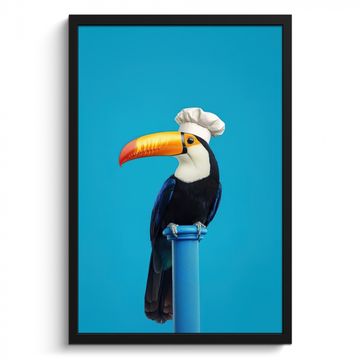 Poster met lijst - Tucan - Sokkel - Vogel - Koksmuts