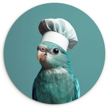 Muurcirkel - Parkiet - Vogel - Koksmuts - Cute
