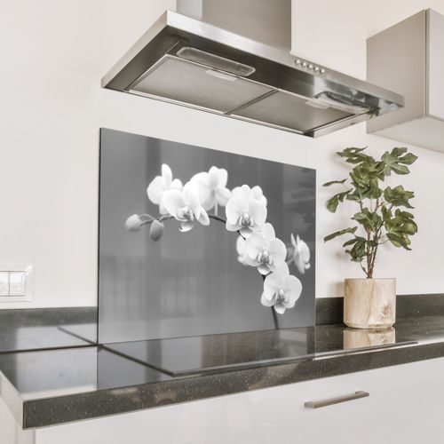 Spatscherm Aluminium - Monochrome Orchideeënpracht