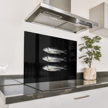 Spatscherm Aluminium - Haring - Vissen - Zwart