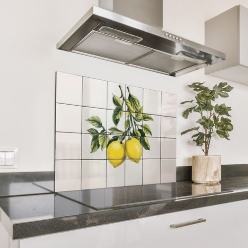 Spatscherm Aluminium - Citroen - Decoratie - Keramiek - Takken