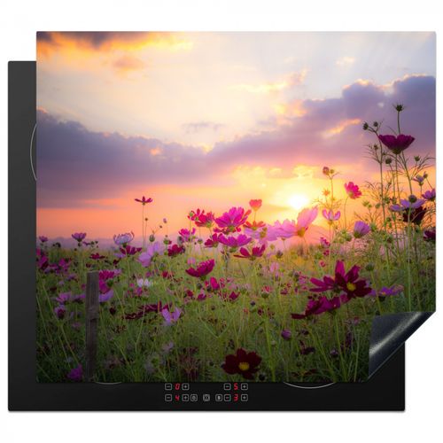 Inductie beschermer - Cosmos bij Zonsondergang