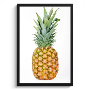 Poster met lijst - Koning van de Tropen