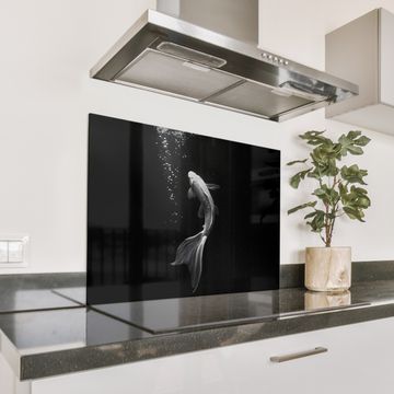Spatscherm Aluminium - Koi - Vis - Wit - Zwart