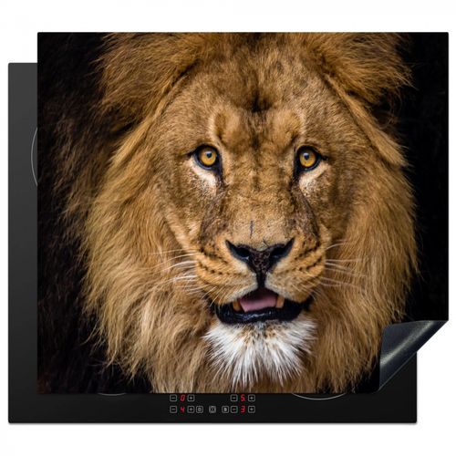 Inductie beschermer - Gezicht van de Serengeti