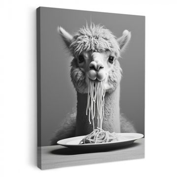 Canvas schilderij - Alpaca - Pasta - Zwart - Wit - Grappig - Dieren