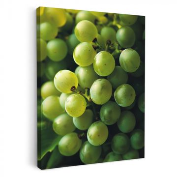 Canvas schilderij - Druiven - Tros - Groen