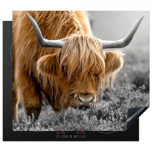 Inductie beschermer - Herfsttinten in de Highlands
