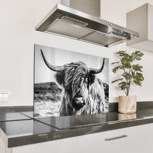 Spatscherm Aluminium - Gehoornde Wachter