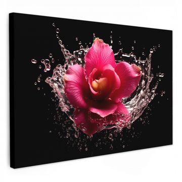 Canvas schilderij - Bloemen - Roze - Water - Zwart - Botanisch - Natuur