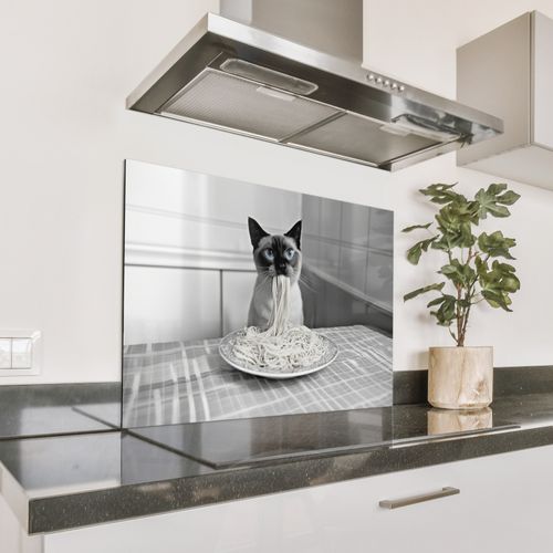 Spatscherm Aluminium - Kat - Siamees - Zwart Wit - Schattig - Dieren