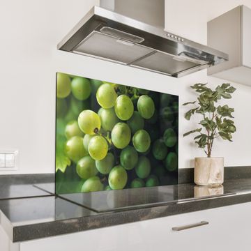 Spatscherm Aluminium - Druiven - Tros - Groen
