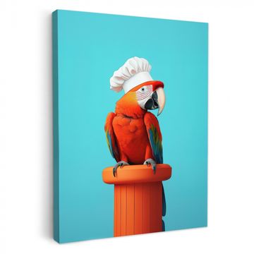 Canvas schilderij - Ara - Koksmuts - Sokkel - Grappig