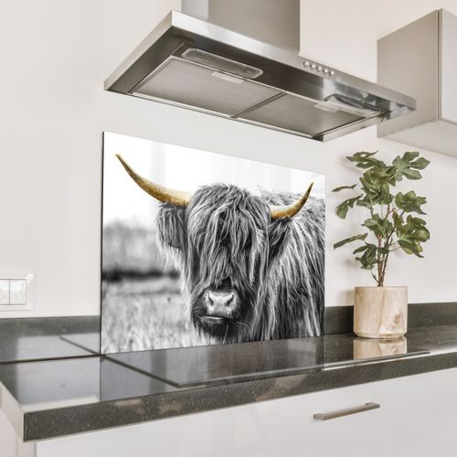 Spatscherm Aluminium - Blik van de Hooglander