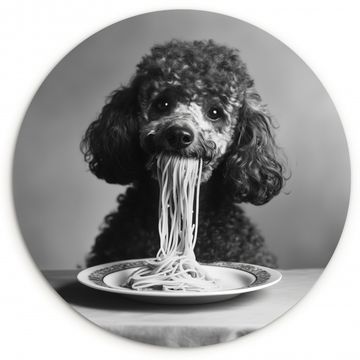 Muurcirkel - Poedel - Hond - Zwart - Wit - Schattig - Pasta