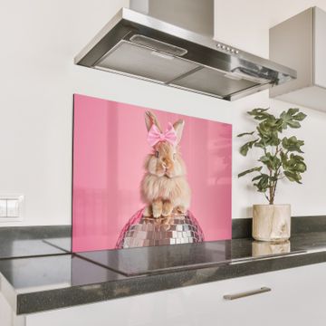 Spatscherm Aluminium - Strik - Discobal - Konijn