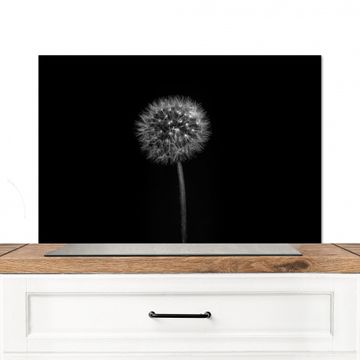 Spatscherm Aluminium - Sterrennacht Paardenbloem