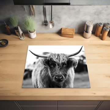 Inductie beschermer - Contrasten van de Hooglanden