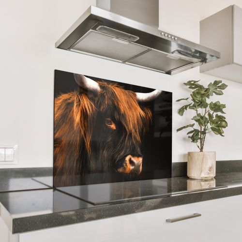 Spatscherm Aluminium - Mystieke Blik