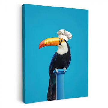 Canvas schilderij - Tucan - Sokkel - Vogel - Koksmuts