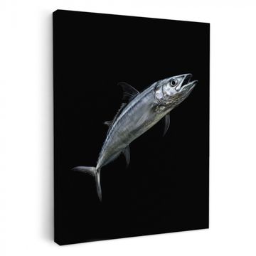 Canvas schilderij - Makreel - Vis - Zwart