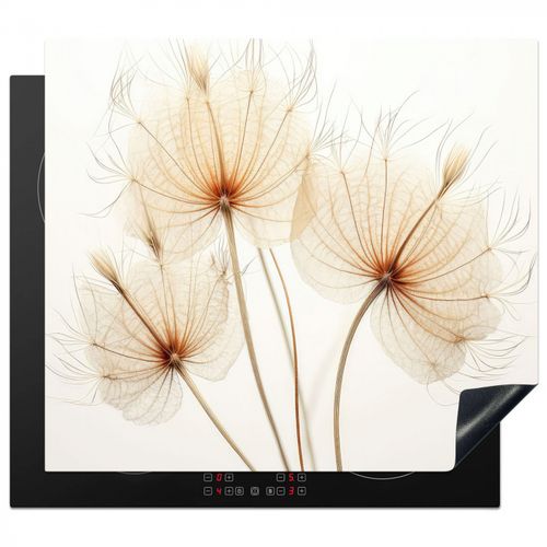 Inductie beschermer - Elegantie in Transparantie