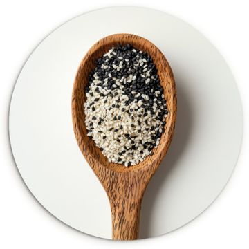 Muurcirkel - Lepel - Sesam - Wit